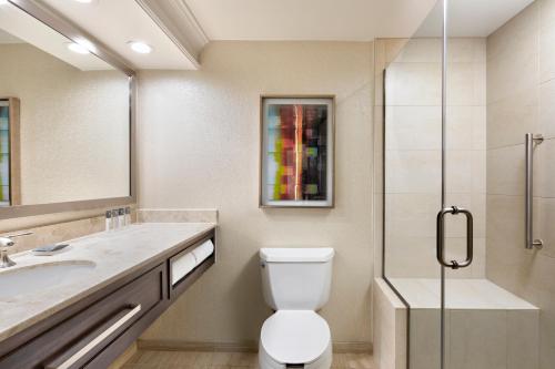 a bathroom with a toilet and a sink and a shower at Gaylord Opryland Resort & Convention Center in Nashville