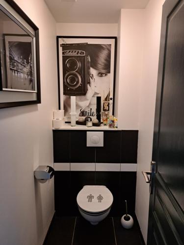 une salle de bains avec toilettes et une photo d'un haut-parleur dans l'établissement Chambre dans chalet avec piscine, à Saint-Jean-en-Royans