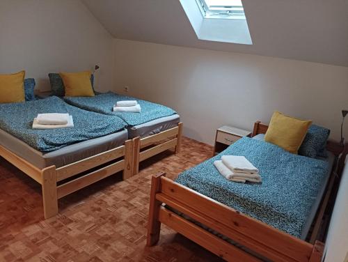 2 camas individuais num quarto com uma clarabóia em Ubytování Iris em Dolany
