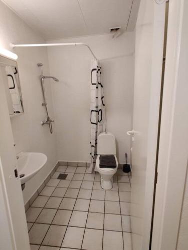 ein kleines Bad mit WC und Waschbecken in der Unterkunft Capital city of Lego, Prime location! Room 16 in Billund
