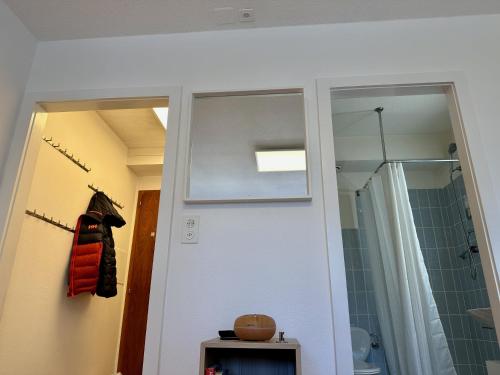 a bathroom with a mirror and a sink and a shower at Studio Serenity, 4 min walk to center! in Crans-Montana