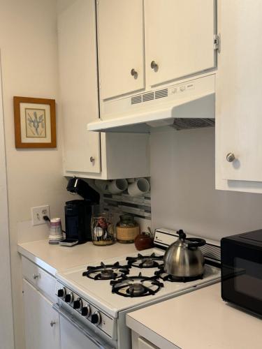a white kitchen with a stove top oven at Wensel Cottage in downtown Natchez in Natchez