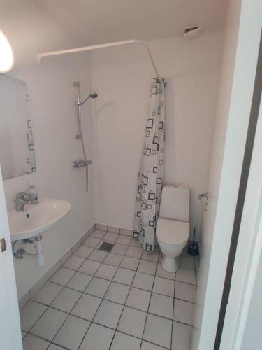 ein Bad mit einem WC und einem Waschbecken in der Unterkunft Nice Little centrum apartment! No.11 in Billund