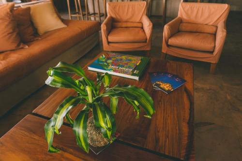 a living room with a coffee table and a plant at Rosell Boher Winery Lodge & Spa in Agrelo