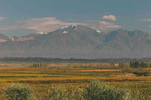 a mountain in the middle of a field with mountains at Rosell Boher Winery Lodge & Spa in Agrelo