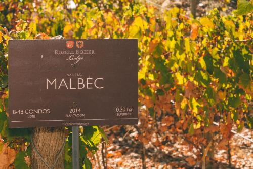 a sign in front of a bunch of vines at Rosell Boher Winery Lodge & Spa in Agrelo