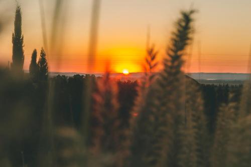 a sunset behind a fence with plants in the foreground at Rosell Boher Winery Lodge & Spa in Agrelo