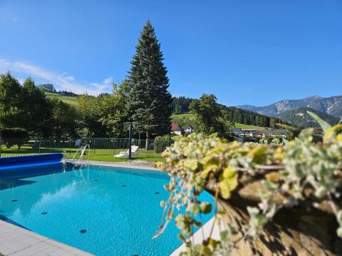 una gran piscina con un árbol en el fondo en Ferienwohnung Blick ins Grüne, en Rossleithen