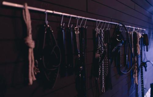 Φωτογραφία από το άλμπουμ του Erwachsenenhotel BDSM Apartment Hotel Emotion Apartments mit privater Sauna σε Vlotho