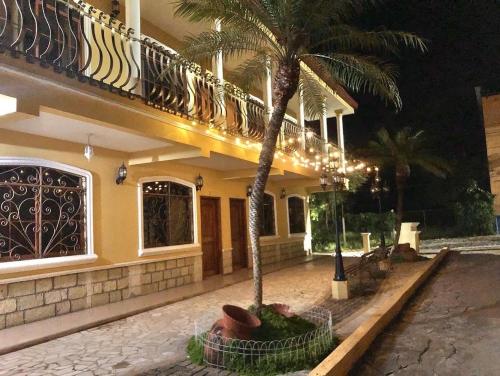 a building with a palm tree in front of it at Apartamento Mayan Plaza in Copan Ruinas