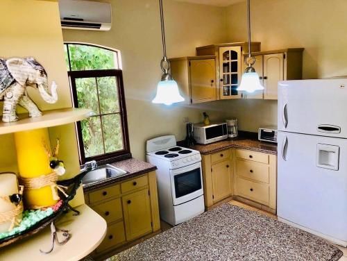 eine Küche mit einem weißen Kühlschrank und einem Herd in der Unterkunft Apartamento Mayan Plaza in Ruinas de Copán
