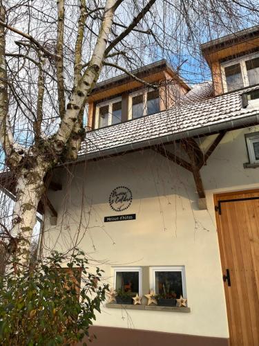 a white house with two windows and a tree at Maison d hôtes SPA Pivoine et Colibri in Domfessel