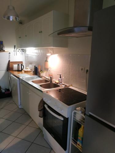 une cuisine avec un évier et une cuisinière four supérieur dans l'établissement Entre lac et montagnes, à Savines