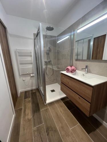 y baño con lavabo y ducha. en maison t2 avec jaccuzi wifi parking, en Saint-Cyr-sur-Mer