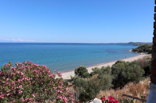 a view of a beach with pink flowers at Blue Fox 1 in Chrani