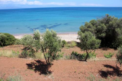 a field with trees and the ocean in the background at Blue Fox 1 in Chrani