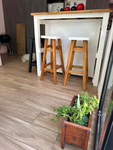a kitchen counter with two stools and a potted plant at Hospedaje posada en Ezeiza in Ezeiza