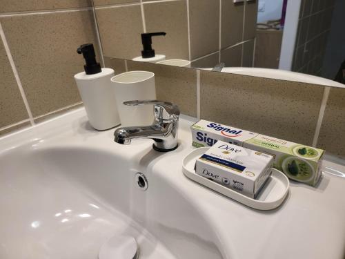 um lavatório de casa de banho com uma escova de dentes e pasta de dentes em Perylofts 13 em Mercury