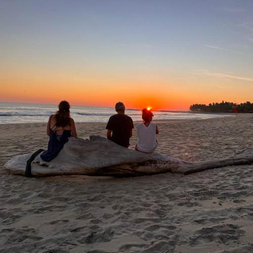 a group of three people sitting on a piece of wood on the beach at habitación en Casa Palma y Coco in Playa Agua Blanca