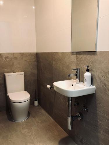 a bathroom with a toilet and a sink and a mirror at Selah Valley Estate in Limpinwood