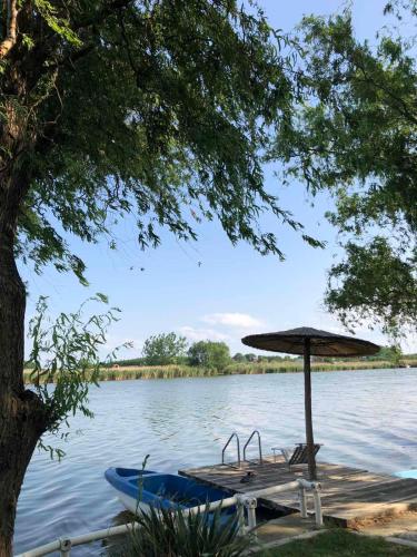 een tafel met een paraplu en een boot op een meer bij Vila Vetrenjaca in Čurug