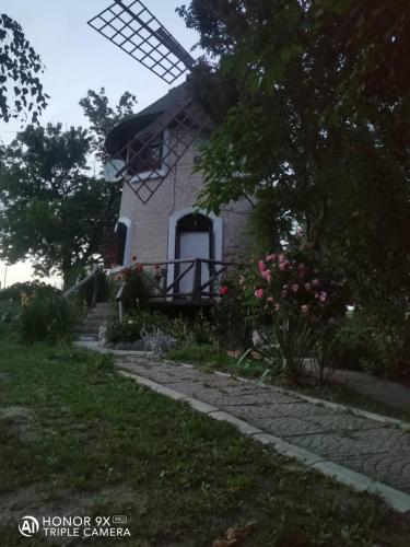 een huis met een windmolen in een tuin bij Vila Vetrenjaca in Čurug