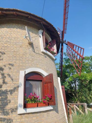 een gebouw met een raam met bloemen erop bij Vila Vetrenjaca in Čurug