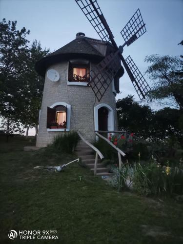 een klein huis met een windmolen in een veld bij Vila Vetrenjaca in Čurug