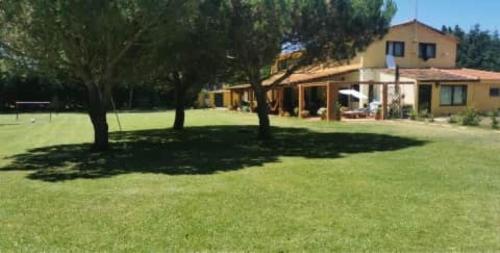 a large yard with trees and a house at T0 da Casa da Quinta S José in Praia de Mira