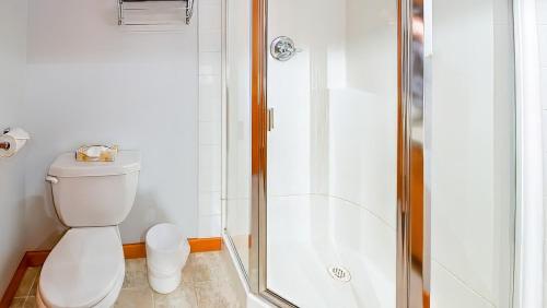 a bathroom with a toilet and a shower at Polar Peak Chalet by Fernie Lodging Company in Fernie