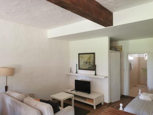 a living room with a couch and a tv at T0 da Casa da Quinta S José in Praia de Mira