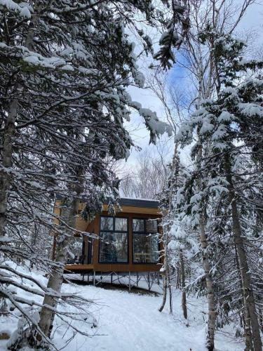 a cabin in the woods with snow covered trees at Tanières MicroChalets Charlevoix in Baie-Saint-Paul
