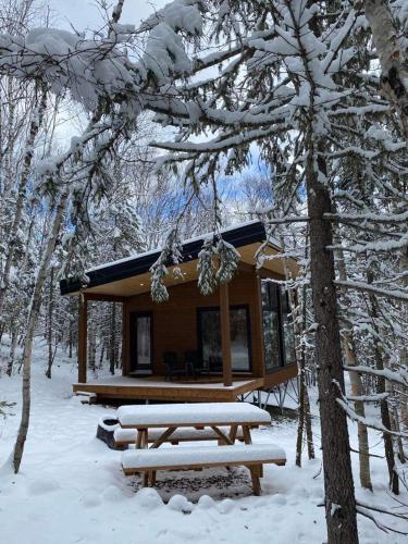 a log cabin with a picnic table in the snow at Tanières MicroChalets Charlevoix in Baie-Saint-Paul