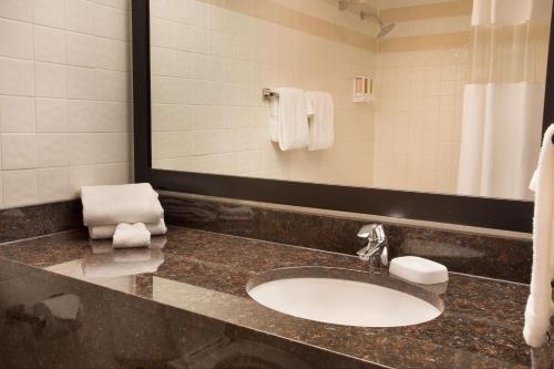 Drury Inn & Suites Paducah في بادوكا: حمام مع حوض ومرآة كبيرة