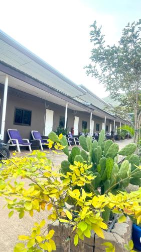 Jardín al aire libre en ที่พักบ้านเก๋ เกาะล้าน
