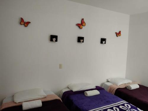 2 Betten in einem Zimmer mit Schmetterlingen an der Wand in der Unterkunft Las mariposas 5 in San Cristóbal de las Casas