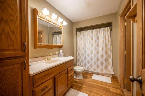 bagno con lavandino, servizi igienici e specchio di Shady Point Retreat a Glenmont