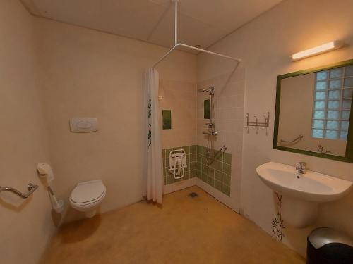 a bathroom with a toilet and a sink and a shower at Gîte Carelles, 5 pièces, 11 personnes - FR-1-600-57 in Carelles