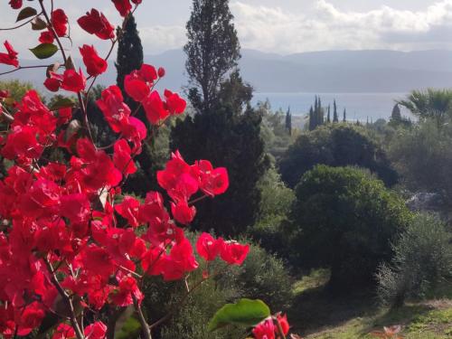 Φυσικό τοπίο κοντά σε αυτή η βίλα