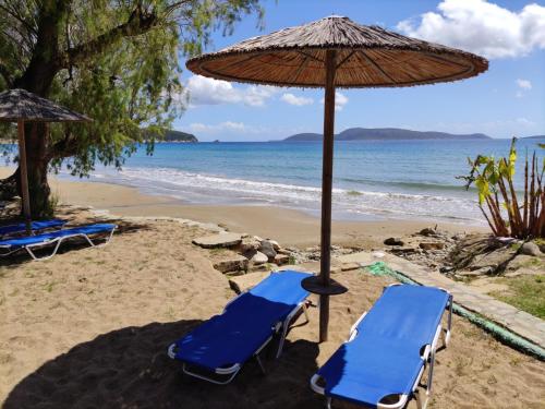 Φυσικό τοπίο κοντά σε αυτή η βίλα