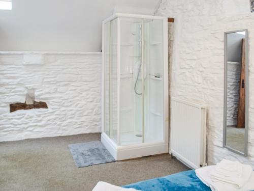 a bathroom with a shower and a mirror at Y Beudy - Uk46191 in Llanybydder