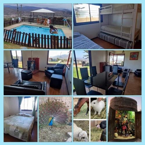 a collage of pictures of a swimming pool at Arriendo de casa 9 personas con piscina in La Serena