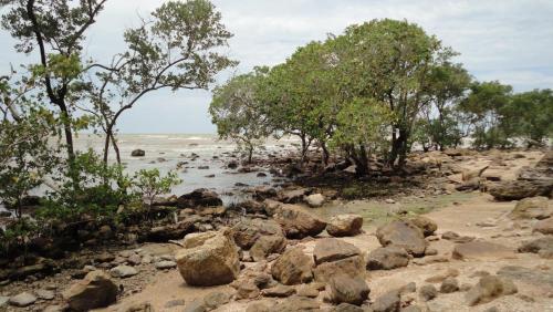 a beach with rocks and trees and the water at Casa PraiaRasa in Armacao dos Buzios