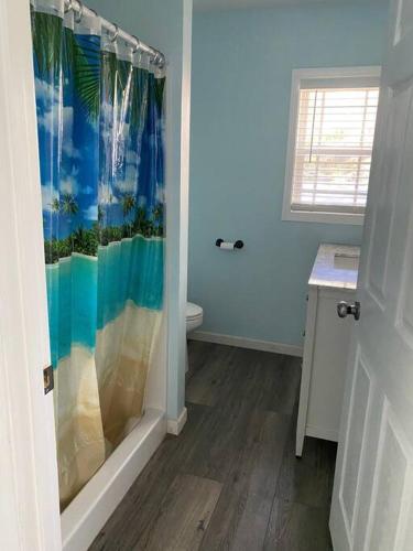 a bathroom with a shower with a toilet and a window at Large 5 Bedroom Home Near Downtown Dalton in Dalton