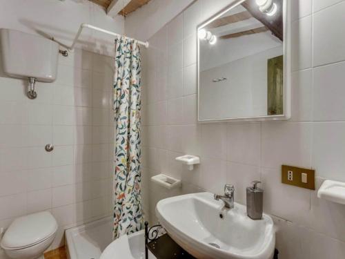 ヴォルテッラにあるHoliday Home in Volterra with Pool and Terraceの洗面台、トイレ、鏡のあるバスルーム