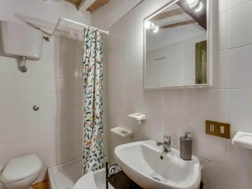 y baño con lavabo, aseo y espejo. en Pet-friendly Holiday Home in Volterra with Swimming Pool, en Volterra