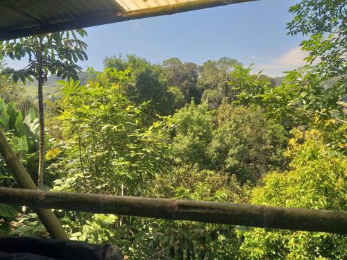 Imagen de la galería de Mirador de la Montaña Glamping, en San Francisco