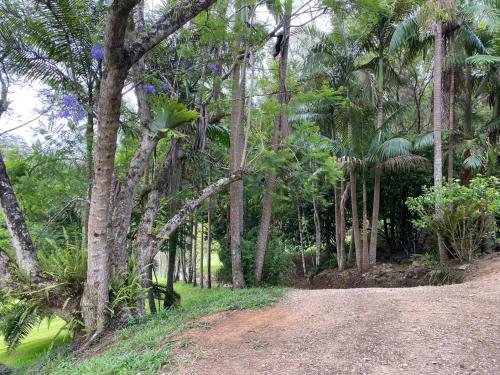 Gallery image of Rainforest Cabin in Doon Doon NSW in Commissioners Creek