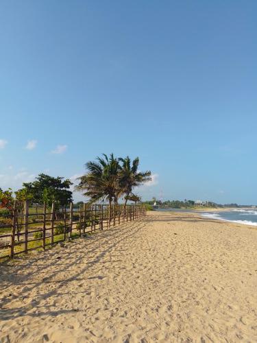 a beach with a fence and palm trees on it at Hotel arugambay beach inn resort in Arugam Bay