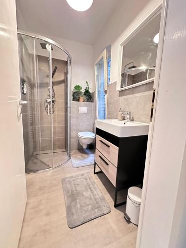 a bathroom with a shower and a sink and a toilet at Ganze Citywohnung 4 Schlafzimmer in Hannover